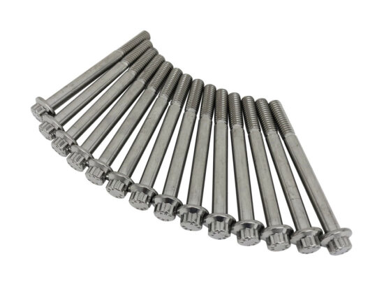 ARP Crankcase Bolt Kit. Fits Softail 2018up.</P><P>